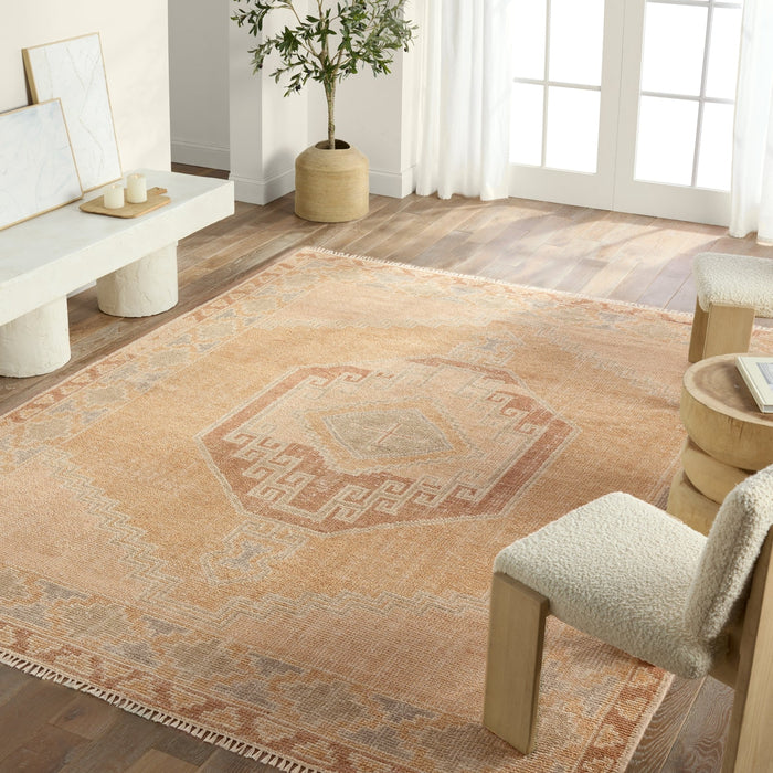 Jaipur Living Sevak Vashti SEV07 Orange Area Rug